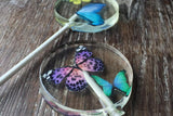 Colorful Edible Butterflies on Wafer Paper