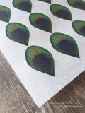2" Edible Peacock Feathers on Wafer Paper 2 Inch Traditional Color