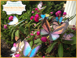 Colorful Edible Butterflies on Wafer Paper