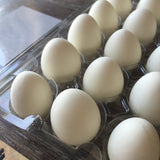 Carton of Rainbow Shimmer Chocolate Mini Eggs Gift Set