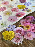 Edible Flower Wafer Paper