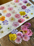 35 Individual Edible Flowers Leaves YOU CUT OUT on Edible Wafer Paper Per Sheet