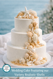 Edible Sugar Seashells – Beach Cake & Cupcake Decorations for Coastal & Mermaid Cakes
