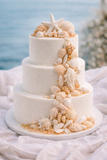 Edible Sugar Seashells – Beach Cake & Cupcake Decorations for Coastal & Mermaid Cakes