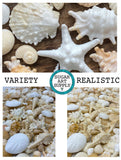 Edible Sugar Seashells – Beach Cake & Cupcake Decorations for Coastal & Mermaid Cakes