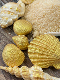 Edible Sugar Seashells – Beach Cake & Cupcake Decorations for Coastal & Mermaid Cakes