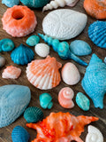 Edible Sugar Seashells – Beach Cake & Cupcake Decorations for Coastal & Mermaid Cakes