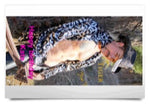 Custom Design Your Own Edible 8x10 Image Toppers for Quarter Sheet Cakes