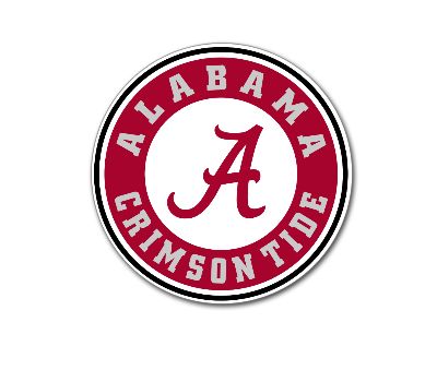 Custom Design Your Own Edible 7.5" Image Toppers for Round Cakes