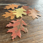 Edible Medium Autumn Leaves