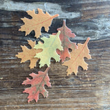 Edible Medium Autumn Leaves