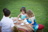 Real Tree Stump Toadstool Mushroom Stool Table and Chair Set Party - Never Forgotten Designs