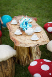 Real Tree Stump Toadstool Mushroom Stool Table and Chair Set Party - Never Forgotten Designs