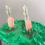 Peter Rabbit Garden Themed Cupcake Workshop Class