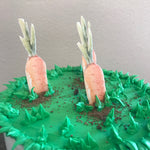 Peter Rabbit Garden Pot Themed Cupcake DIY Kit