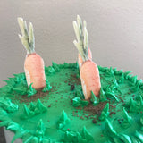 Peter Rabbit Garden Themed Cake DIY Kit