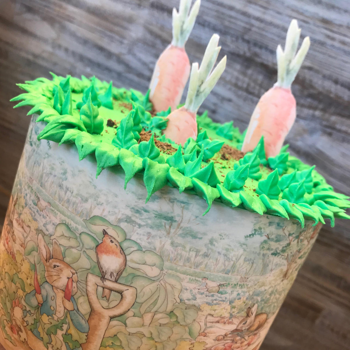 Peter Rabbit Garden Themed Cake DIY Kit – Sugar Art Supply