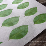 Custom Leaves for Flower Making on Edible Wafer Paper - Never Forgotten Designs