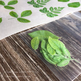 Custom Leaves for Flower Making on Edible Wafer Paper - Never Forgotten Designs