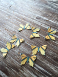 Edible Realistic Miniature Butterflies on Wafer Paper - Never Forgotten Designs
