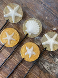 Beach Themed Lollipops with Edible Shells and Food Grade Glitter Made in FDA Registered Facility