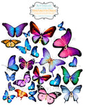 Colorful Edible Butterflies on Wafer Paper