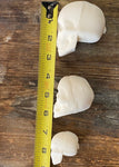 Sugar Skulls Decorating Kit Made in FDA Registered Food Manufacturing Facility Halloween Dia De Los Muertos Day of the Dead