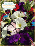Colorful Edible Butterflies on Wafer Paper