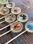 Mini Photo Hard Candy Sucker Lollipop Favors
