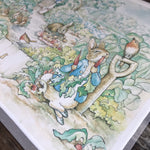 Peter Rabbit Edible Cake Image Topper