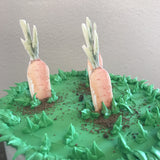 Water Color Peter Rabbit Carrot Cake & Cupcake Toppers