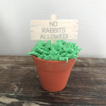 Peter Rabbit Garden Sign Cake & Cupcake Toppers