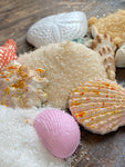 Hard Candy Edible Sugar Shells - Very detailed - Cupcake or Cake Topper Beach Wedding decorations